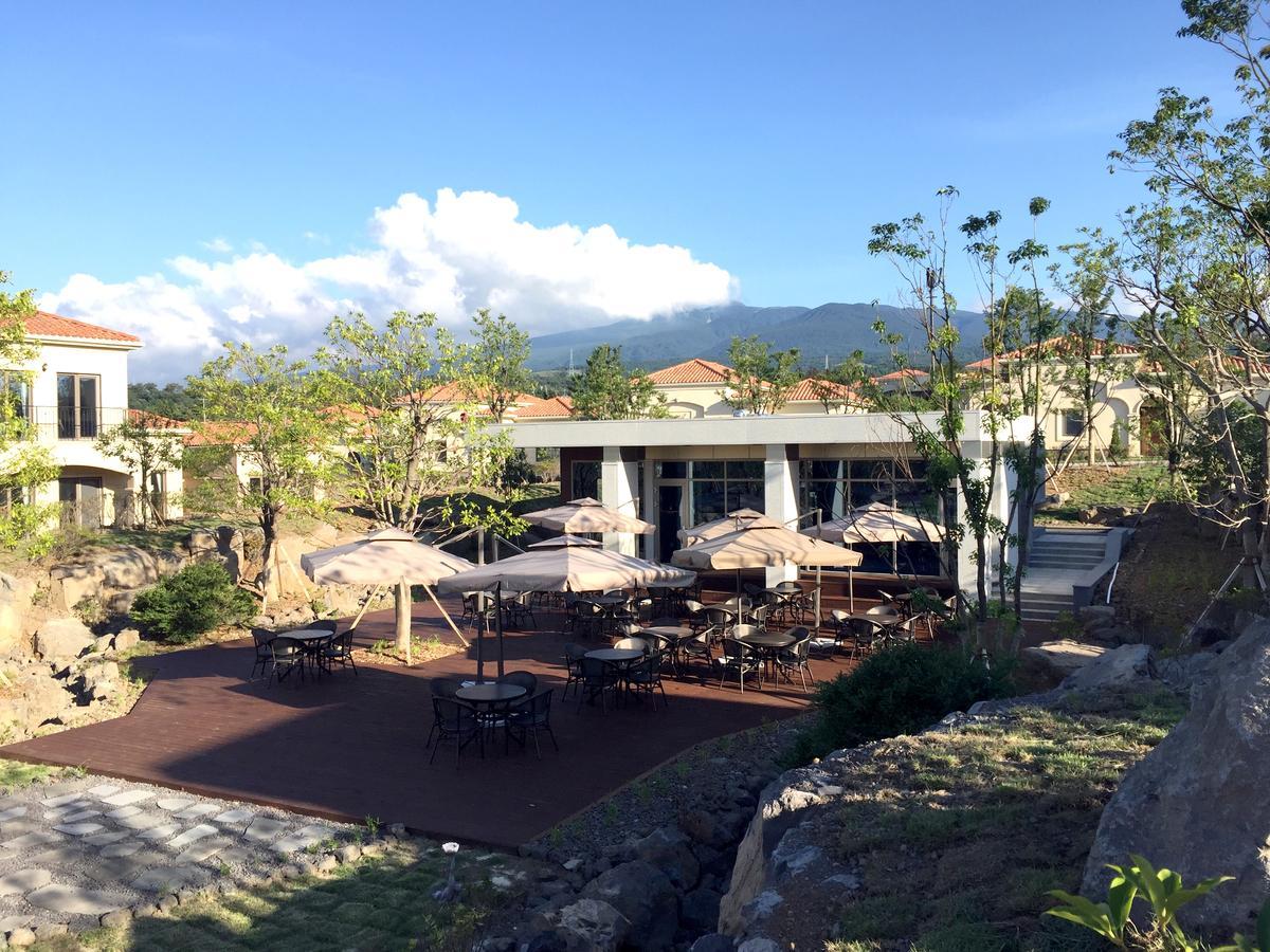 Camphortree Hotel And Resort Jeju Bagian luar foto